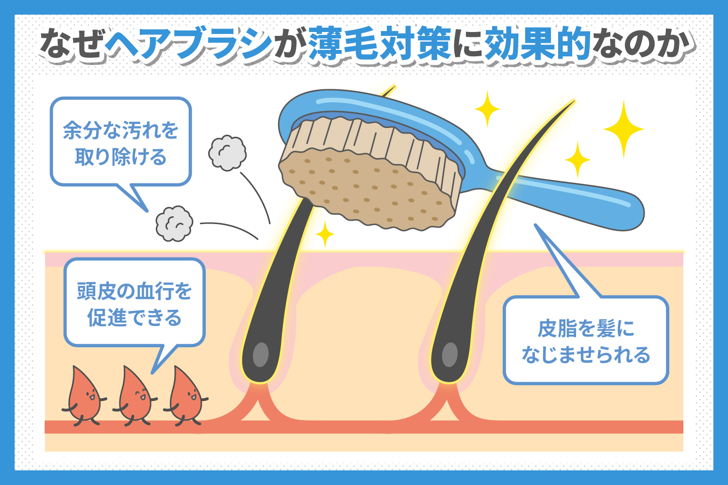 薄毛対策にヘアブラシが効果的な理由