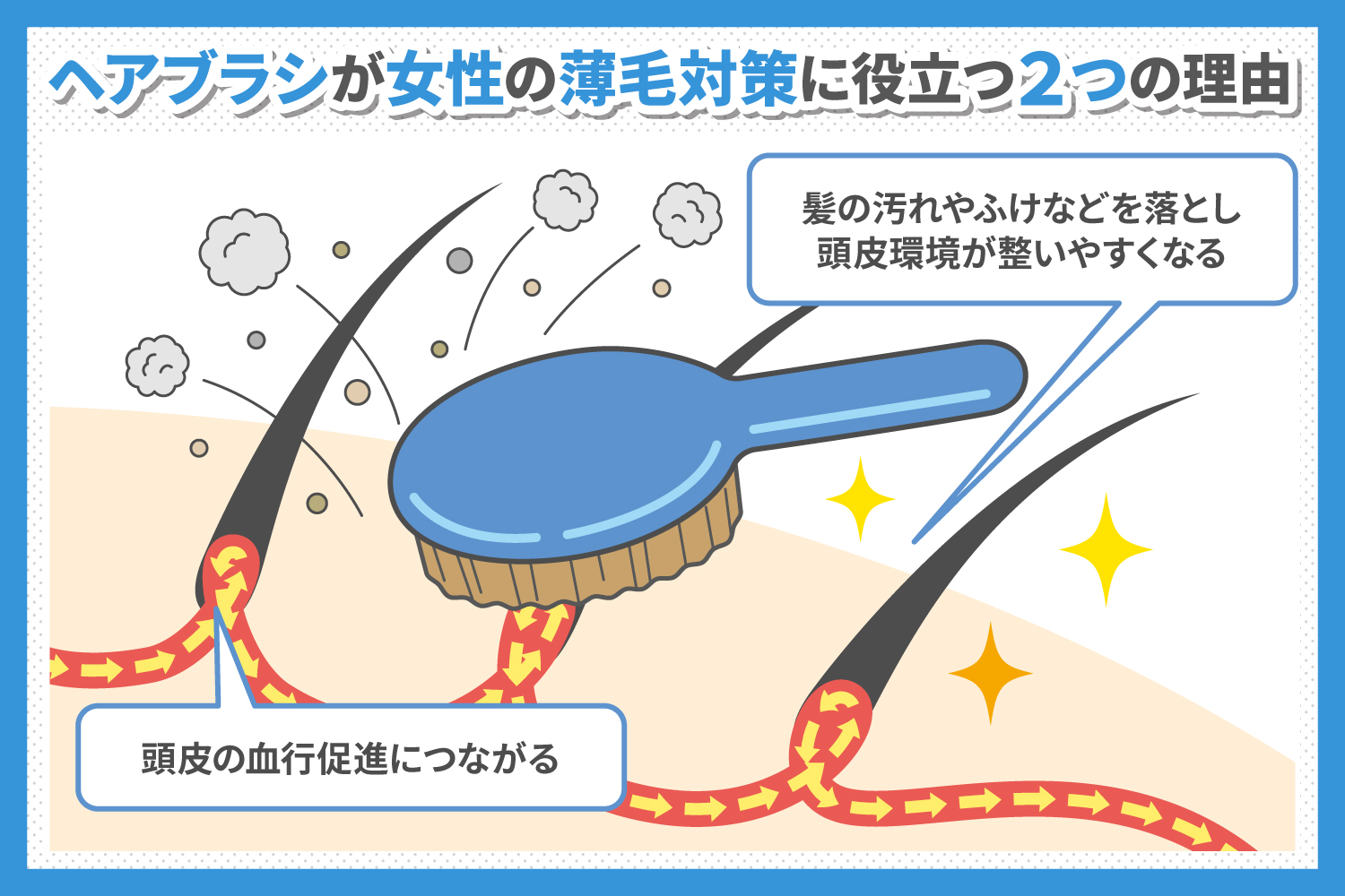 女性の薄毛対策にヘアブラシが役立つ2つの理由